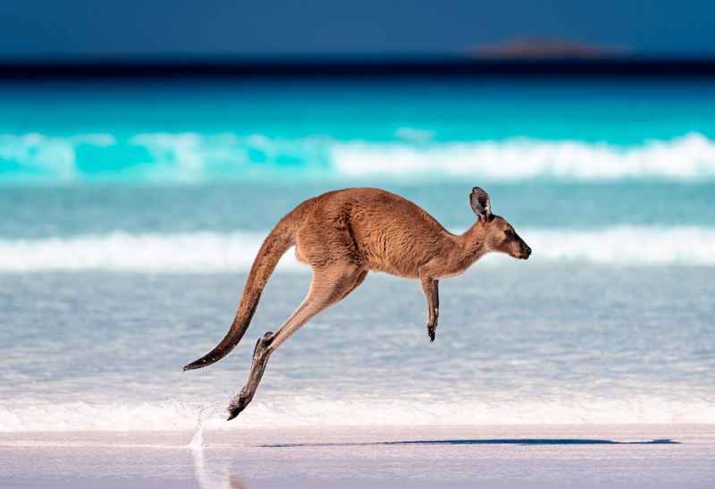 High school en Australie