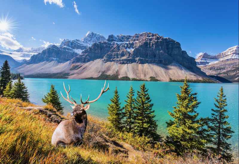 Canada - séjour high school