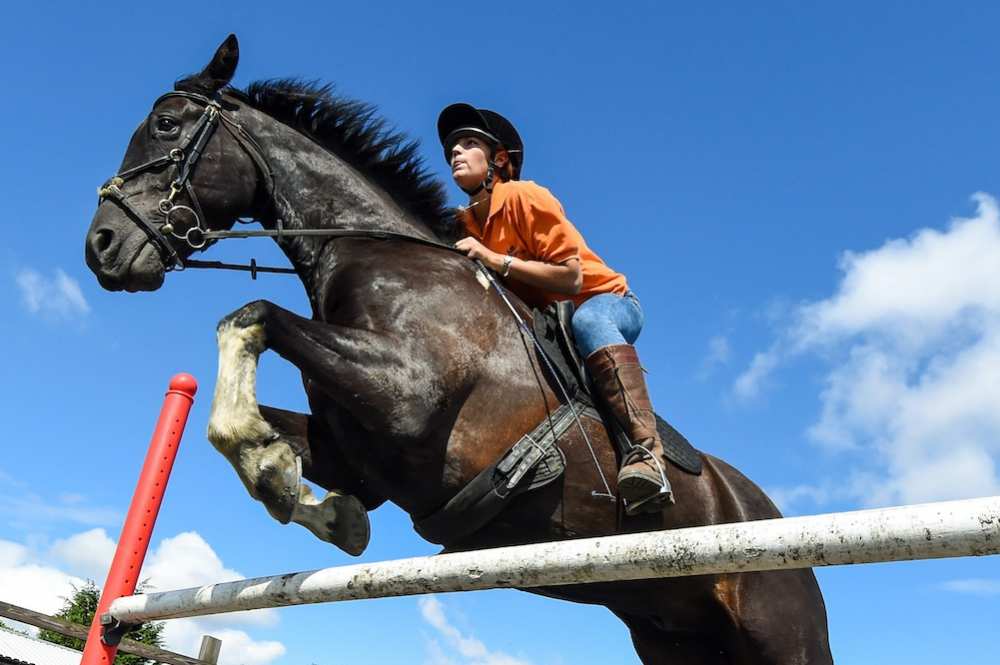 équitation