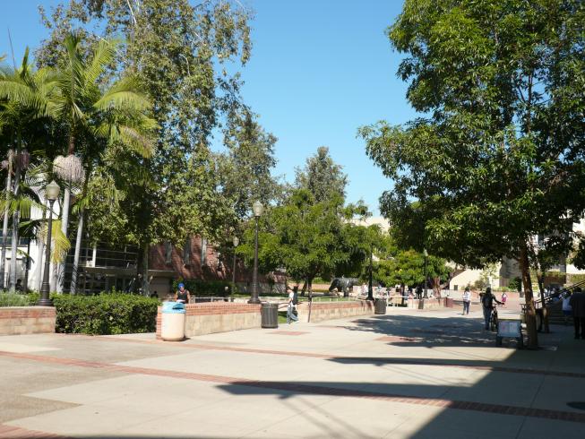 Ballade sur le campus d'UCLA