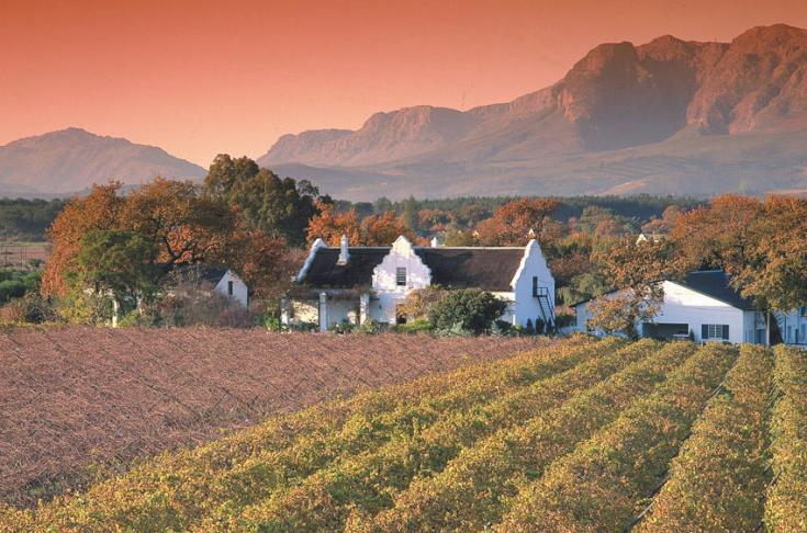 Très belle région viticole d'Afrique du Sud (dans la région du Cap)